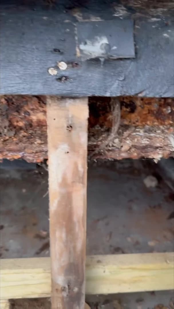 Corroded steel support and its timber connection beneath the Belgravia flat roof